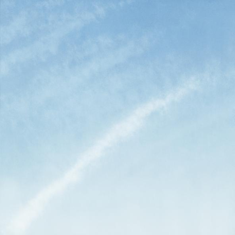 LA Exuberance 11 by Tacita Dean