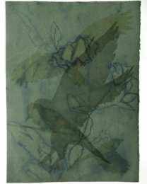 Vanishing Avians 3 by Suzi Davidoff at Flatbed Press and Gallery