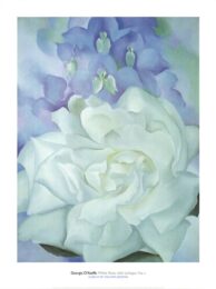 White Rose with Larkspur No.2 by Georges O'Keeffe at Dovehouse Contemporary