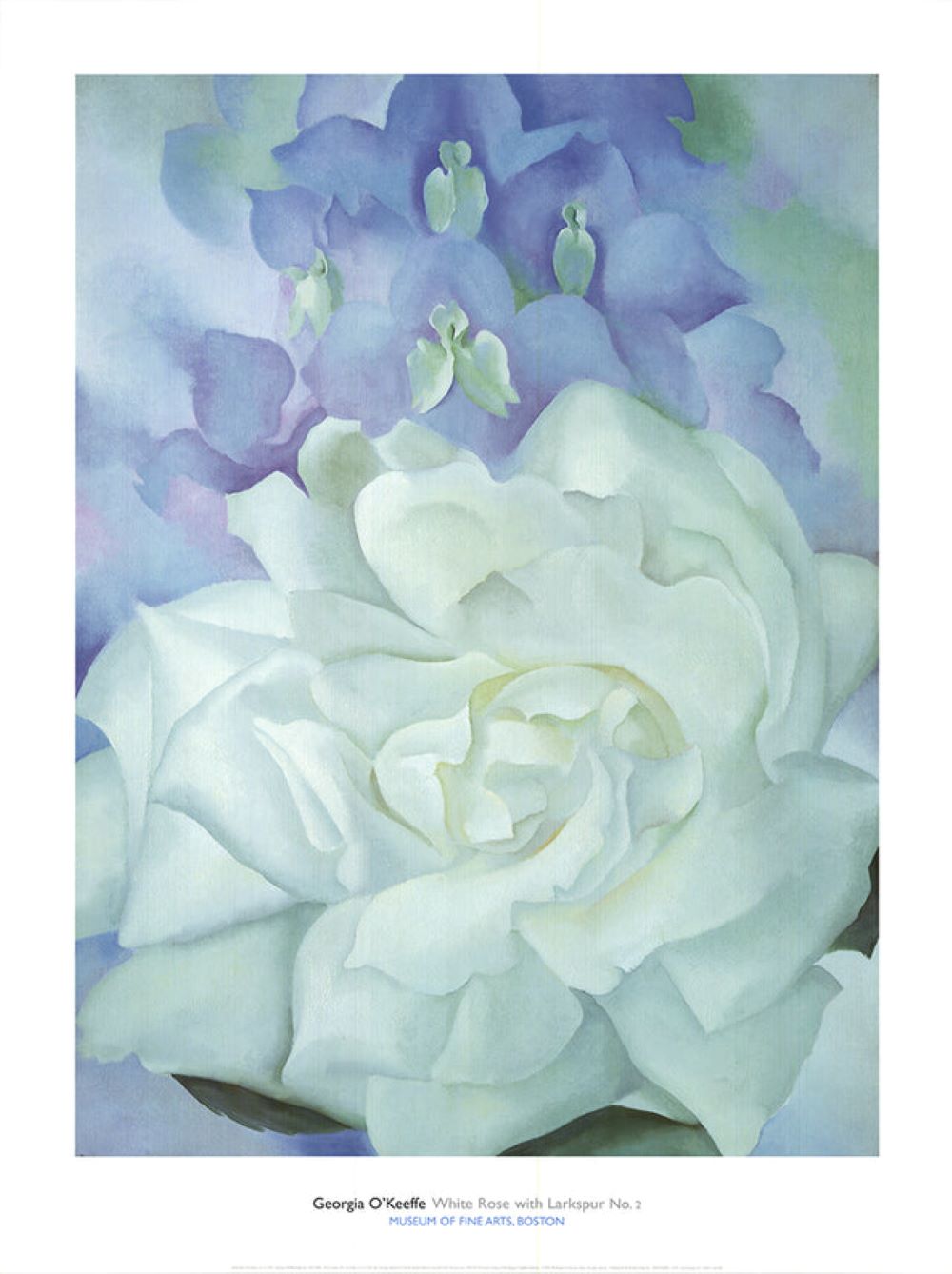 White Rose with Larkspur No.2 by Georges O'Keeffe