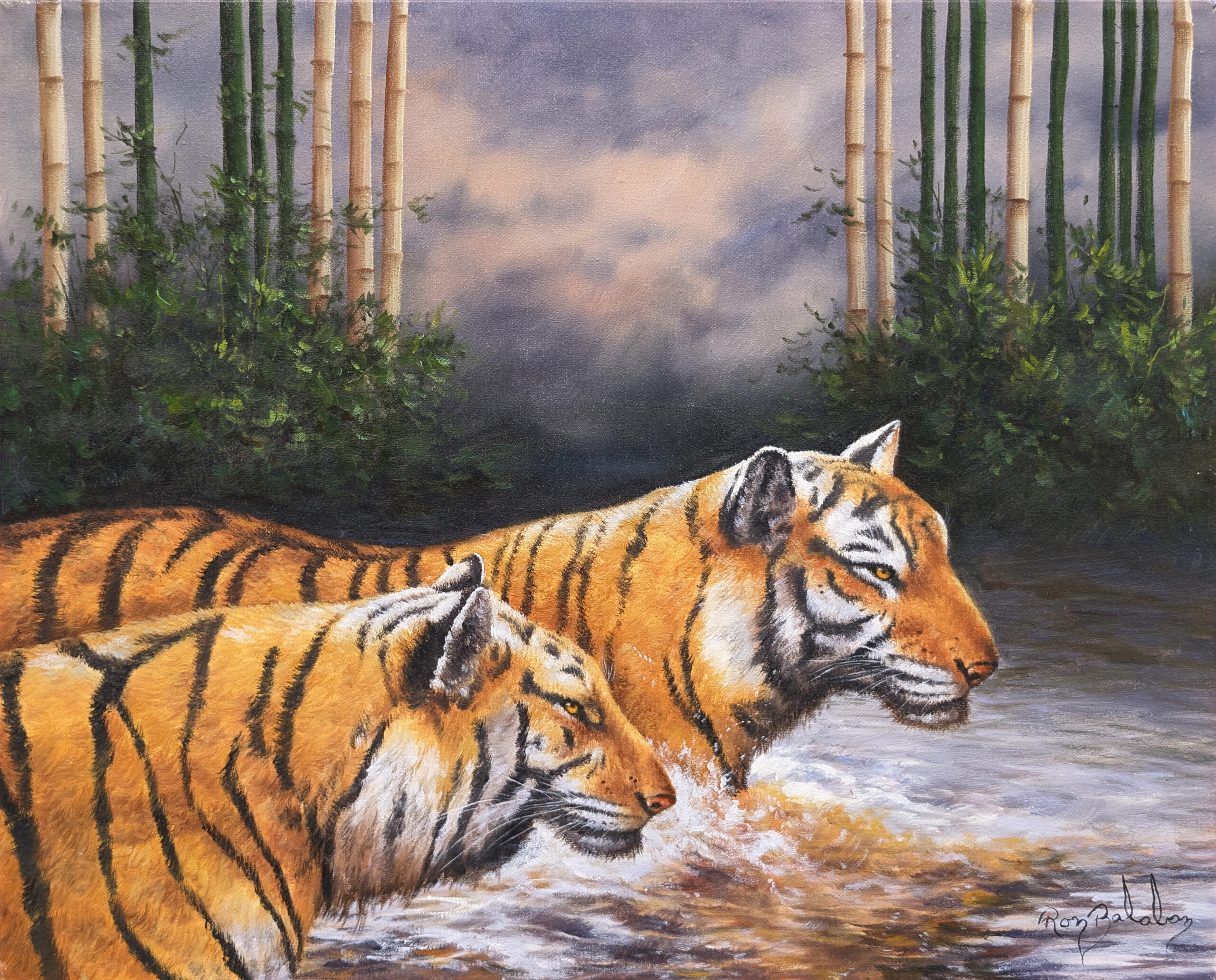 Tigers (original oil painting on canvas) by Ron Balaban