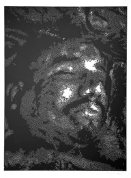 Aplacado (el Veladero) by Miguel A. Aragón at Flatbed Press and Gallery