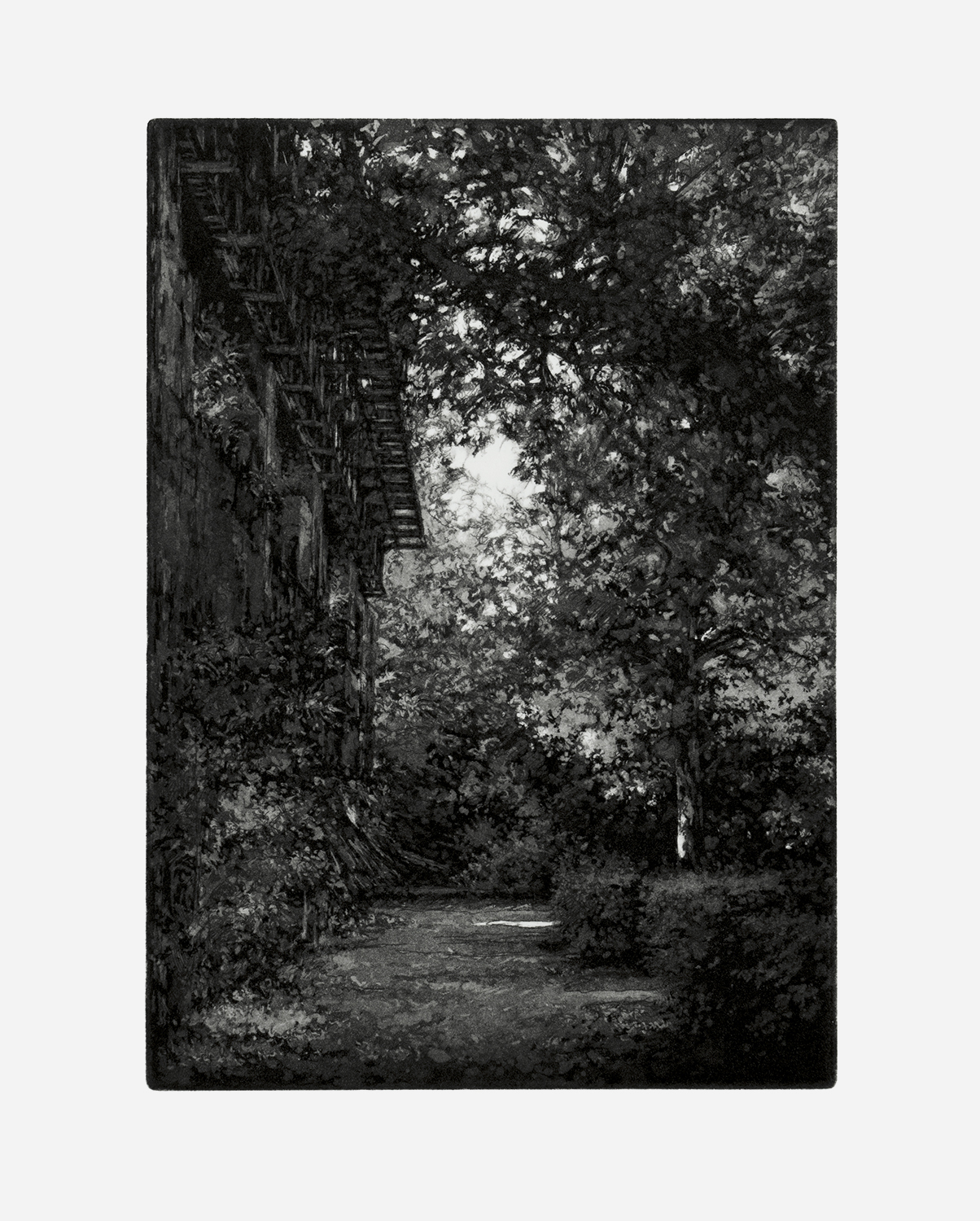 Catwalk 2 by Stefanie Hofer