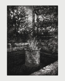 Basin 2 by Stefanie Hofer at Aspinwall Editions