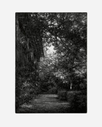 Catwalk 2 by Stefanie Hofer at Aspinwall Editions