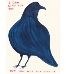 David Shrigley I Can Sing For You by David Shrigley at Clifton Gallery