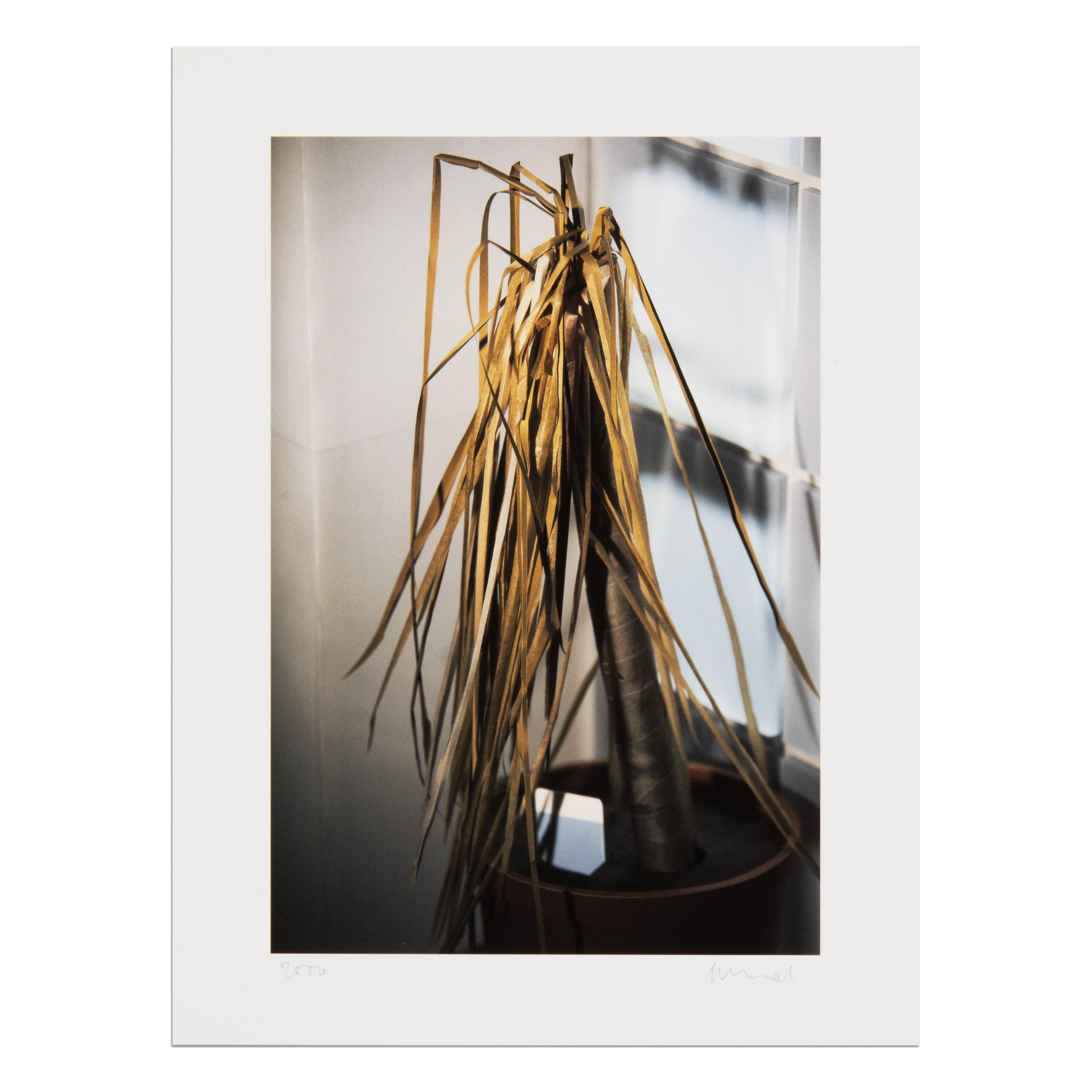 Klause (Scheinprobleme in der Philosophie) by Thomas Demand