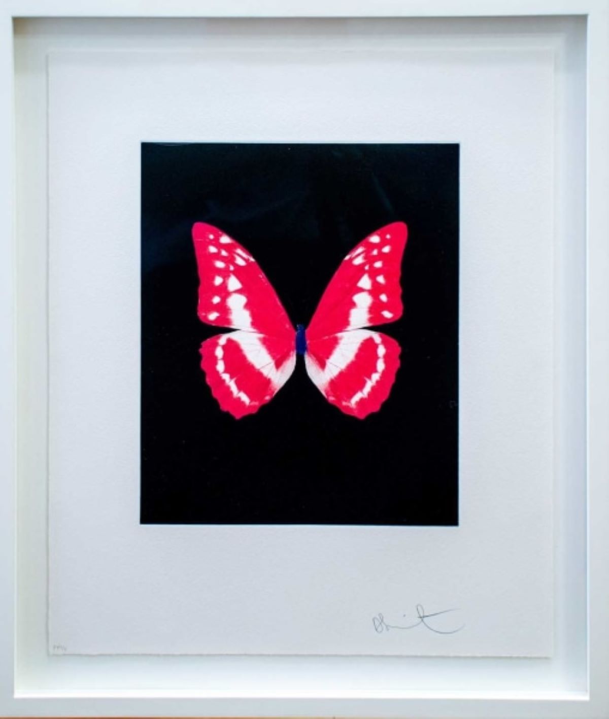 Eternal Rest by Damien Hirst