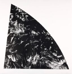 Baie Rouge by Ellsworth Kelly at Michael Lisi/Contemporary Art