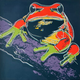 Pine Barrens Tree Frog (fs Ii.294) by Andy Warhol at Revolver Gallery