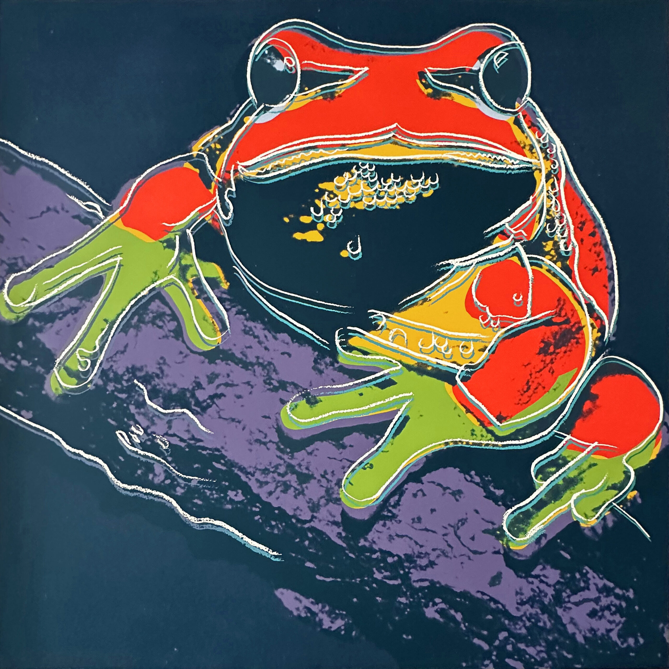 Pine Barrens Tree Frog (fs Ii.294) by Andy Warhol