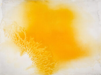 Primaries 6 by Joe Novak at Bert Green Fine Art
