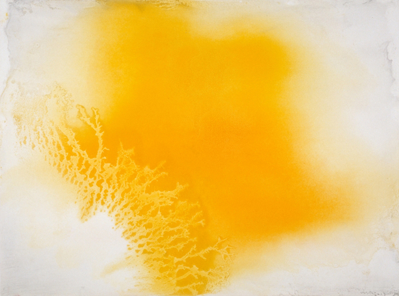 Primaries 6 by Joe Novak