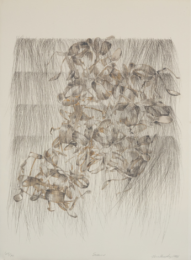 Swarm by Nene Humphrey at Brandywine Workshop and Archives