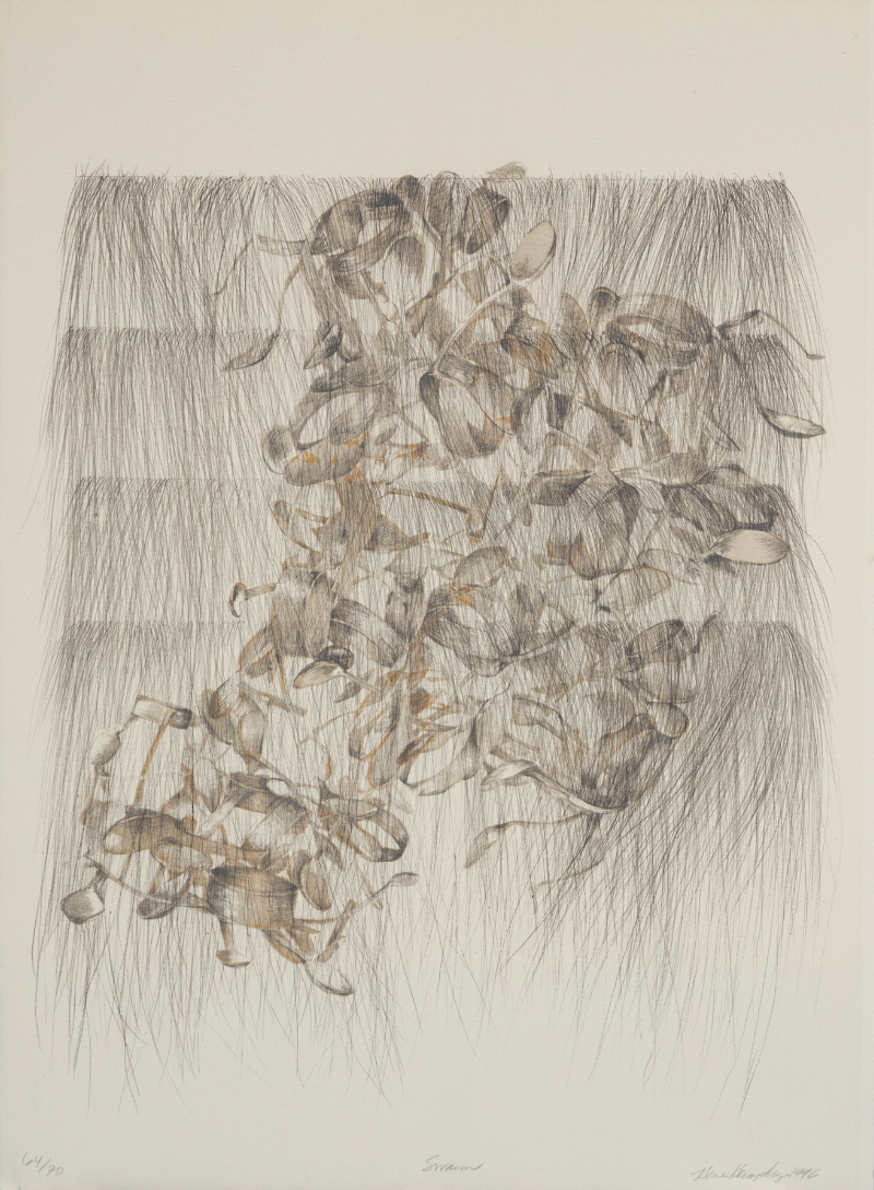 Swarm by Nene Humphrey