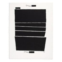 Top Secret 32 by Jenny Holzer at MLTPL