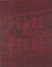 Mahogany 2 by Ann Conner at Flatbed Press and Gallery