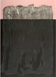 Pink Submerge by Shaun O'Dell at Island Press