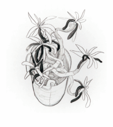 Succulent II by Sara Sanders at PS Marlowe