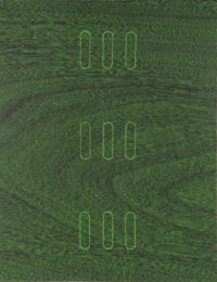 Mahogany 3 by Ann Conner at Flatbed Press and Gallery