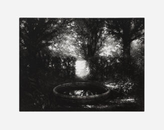 Westpark by Stefanie Hofer at Aspinwall Editions