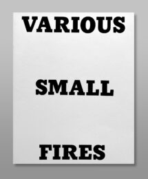 Various Small Fires by Ed Ruscha at Vermillion Editions