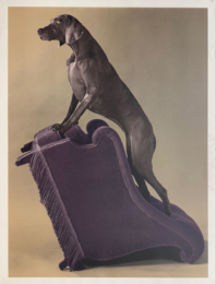 Armed Chair by William Wegman at Vermillion Editions
