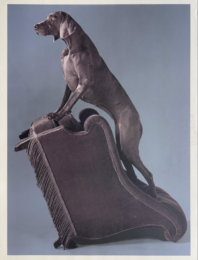 Armed Chair by William Wegman at Vermillion Editions