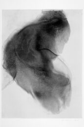 Black Series I #2 by Joe Novak at Bert Green Fine Art