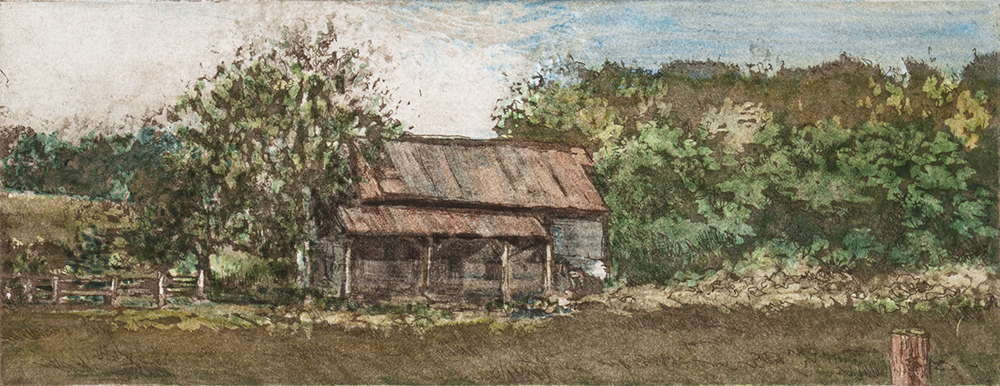 Country Roadside by Judy Wolgast
