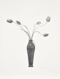 David Hockney Tulips by David Hockney at Clifton Gallery