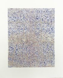 Entrevoutes by James Siena at Michael Woolworth