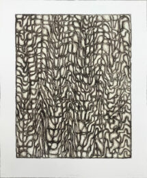 Isonomie 2 by James Siena at Michael Woolworth