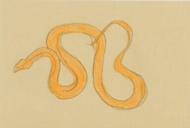 Snakes and Butterflies by Joan Jonas at Noire Editions