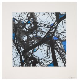 Skycatcher by Nicola Lopez at Highpoint Editions