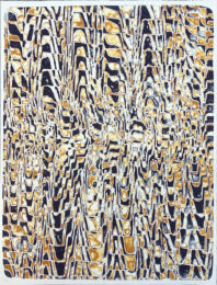 Saccades by James Siena at Michael Woolworth
