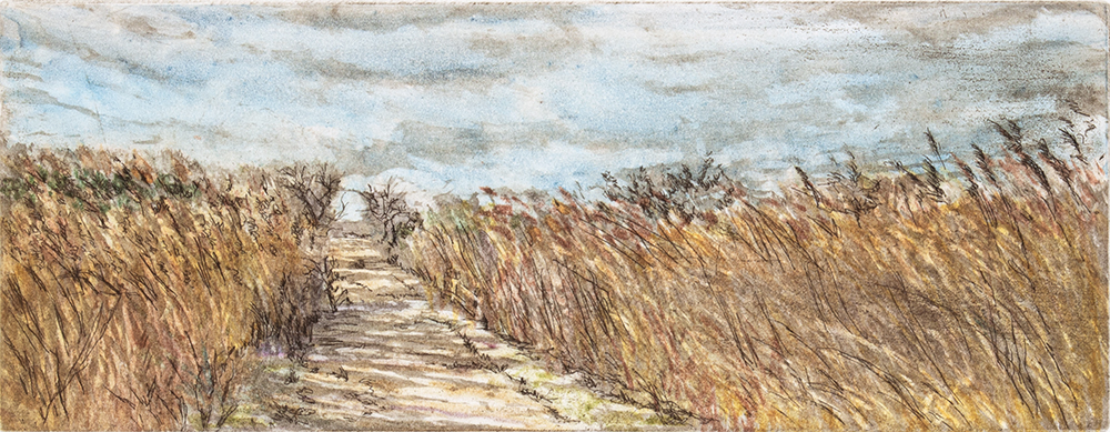 Shore Winds by Judy Wolgast