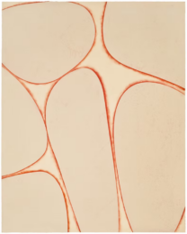 Completely Different by Gary Paller at Wildwood Press