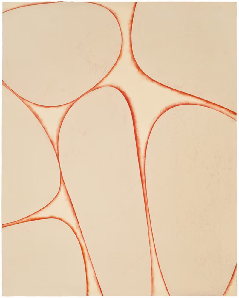 Completely Different by Gary Paller