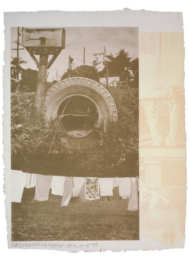 Rookery Mounds – Mud Dauber by Robert Rauschenberg at Gemini G.E.L. at Joni Moisant Weyl