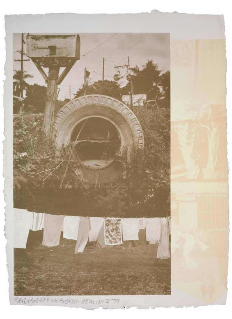 Rookery Mounds – Mud Dauber by Robert Rauschenberg