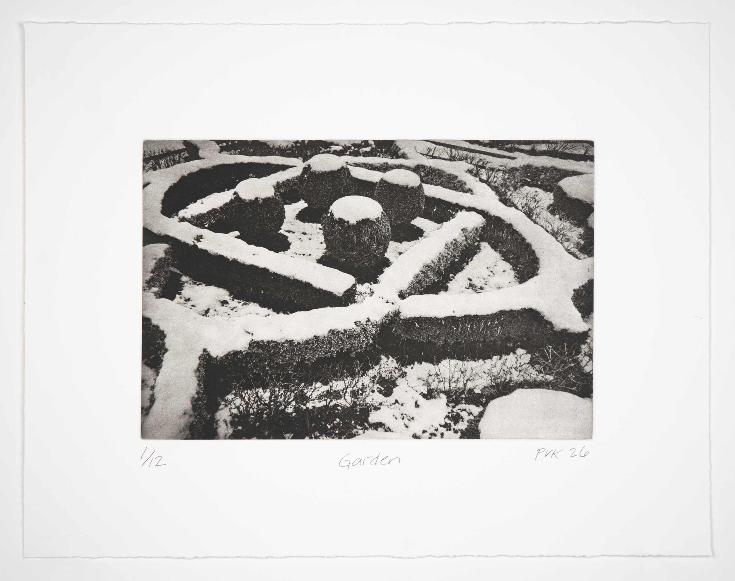 Garden by Philip Van Keuren