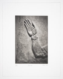 Palm by Philip Van Keuren at Manneken Press (IFPDA)