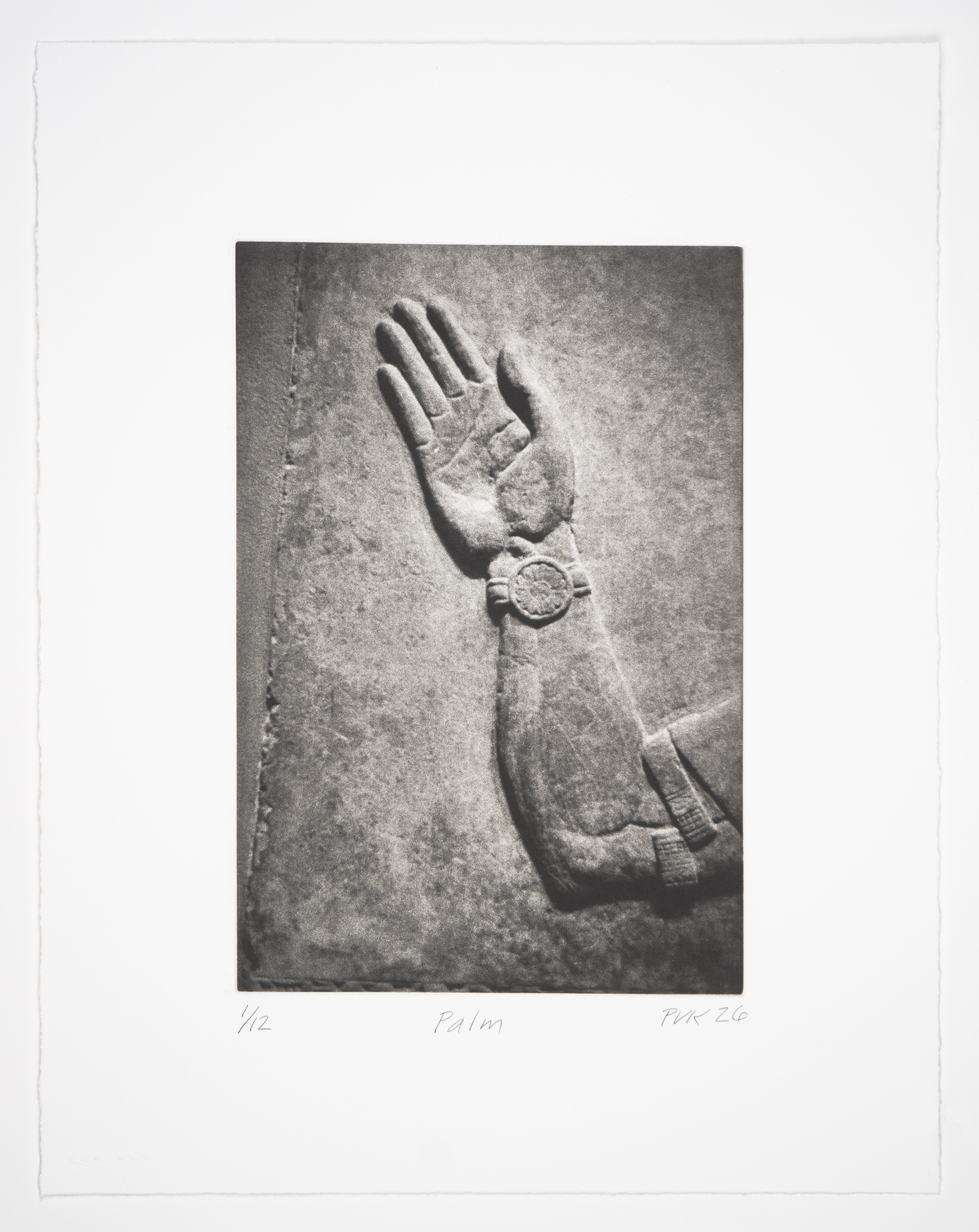 Palm by Philip Van Keuren
