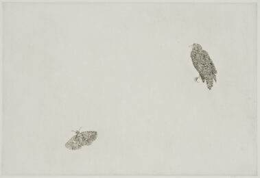 Untitled (Bird and Butterfly) by Kiki Smith at Lower East Side Printshop