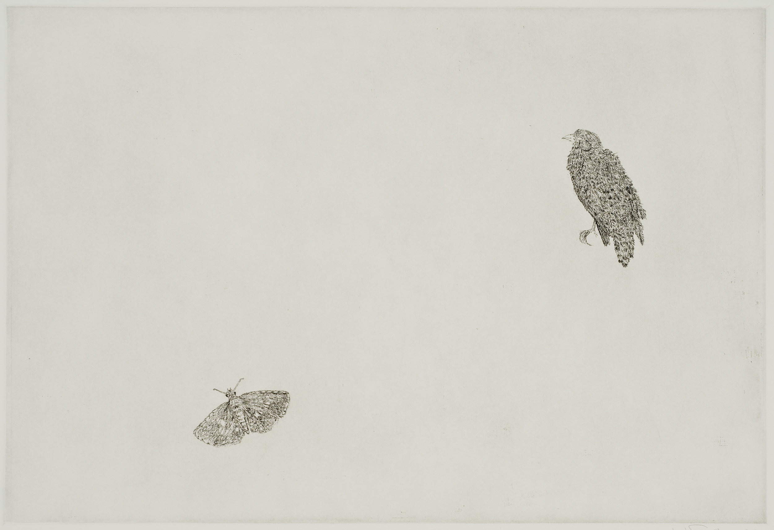 Untitled (Bird and Butterfly) by Kiki Smith