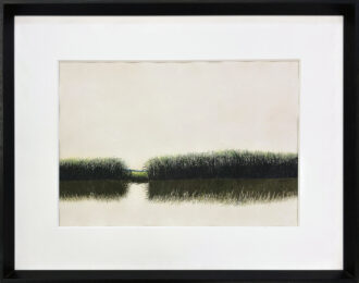 Temor De Orillas (original plaka painting on paper) by Tomás Sánchez at GallArt.com