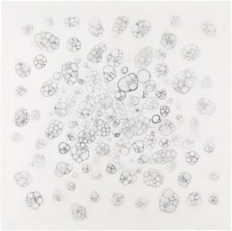 Untitled by Tara Donovan at Krakow Witkin Gallery