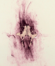 Adversary by Nancy Randall at Vermillion Editions