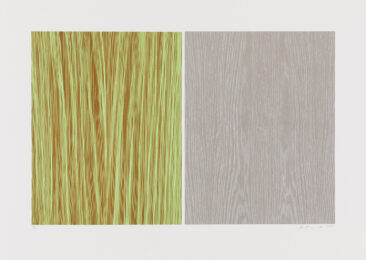 Understory 2 by Ann Aspinwall at Aspinwall Editions